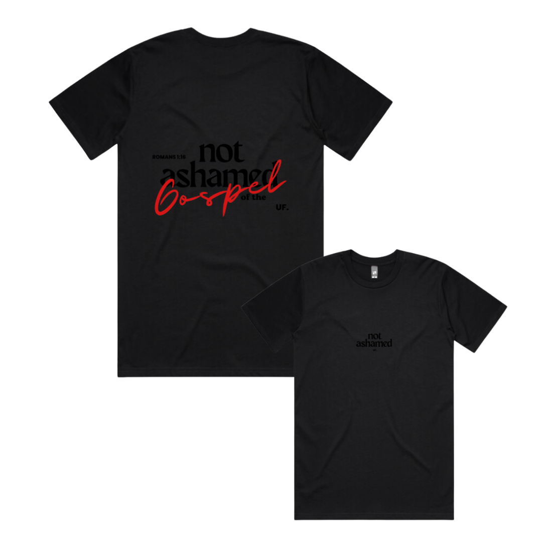 not ashamed tee // men's fit *regular