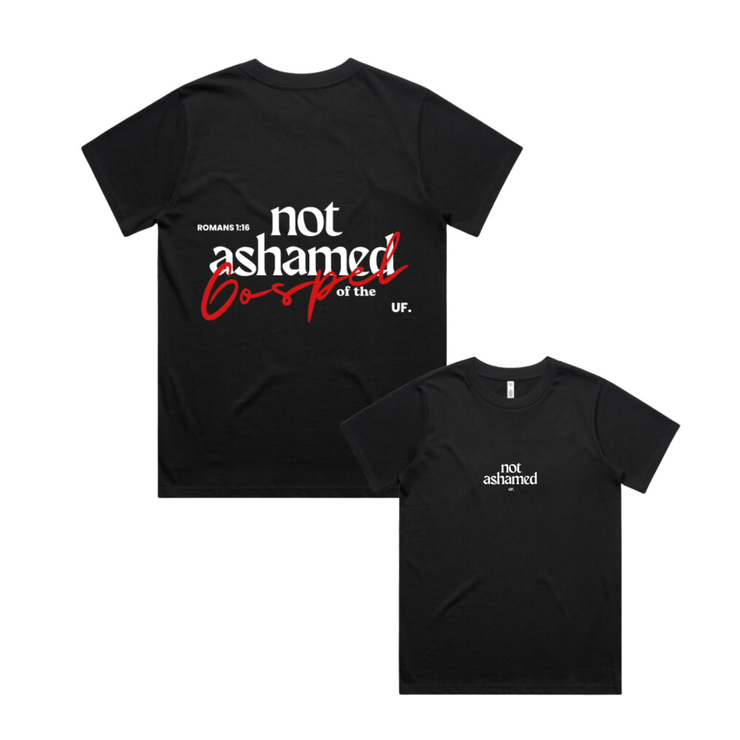 not ashamed tee // women's fit *regular