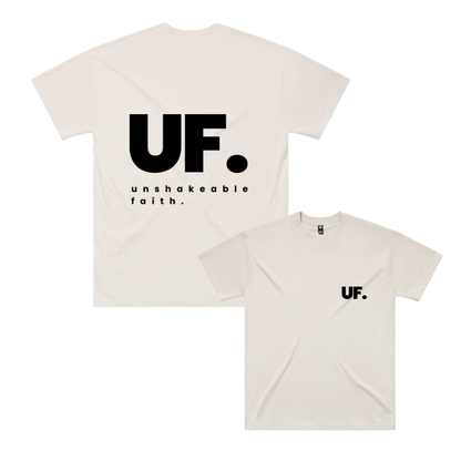 the everyday tee // men's fit *oversized